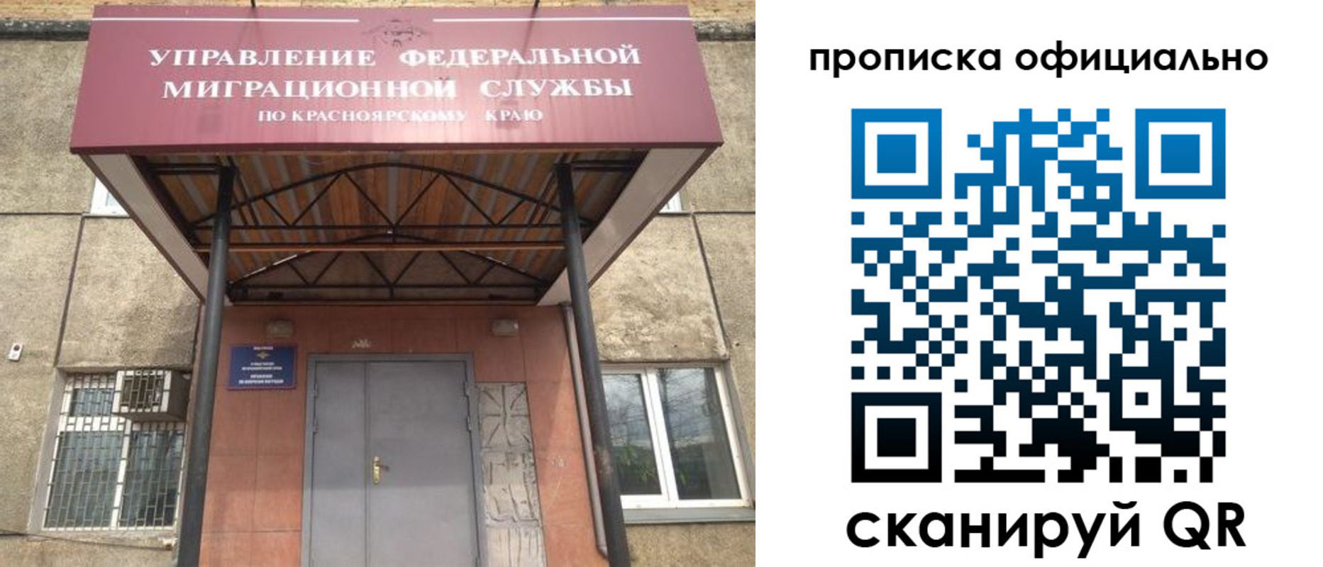 прописка поиск в Курске